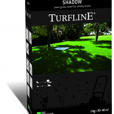 Vejų žolių sėklų mišinys SHADOW, 1 kg